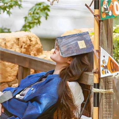 铁面急先锋